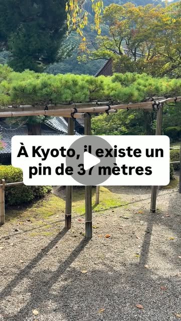 Yoshimine-dera Temple: Kyoto's Hidden Treasure