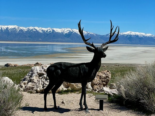Antelope Island State Park Utah Day Trip Guide