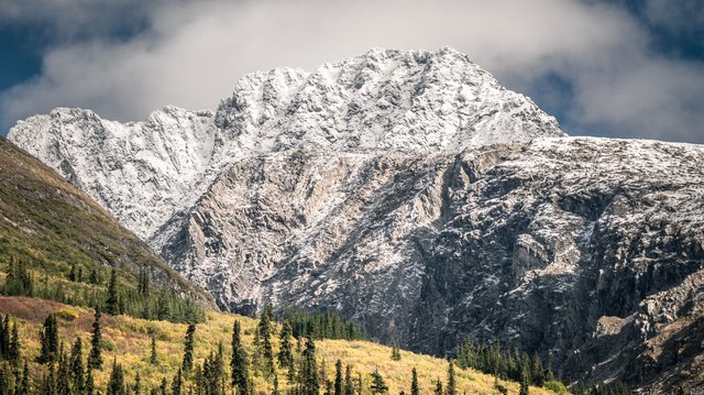 Canadian Parks Showcase Mountains, Canyons, and Wildlife