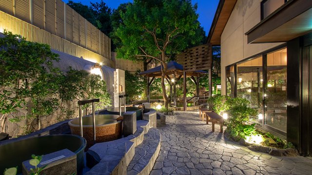 Tokyo's Top Onsen Destinations