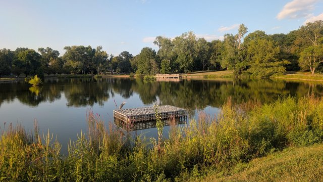 Overland Park's Top Trails, Parks, and Playgrounds