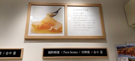 Honey Shops And Aeon Malls Nationwide