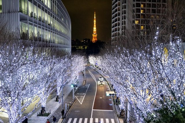 Roppongi Hills Illuminations Celebrate The Holidays