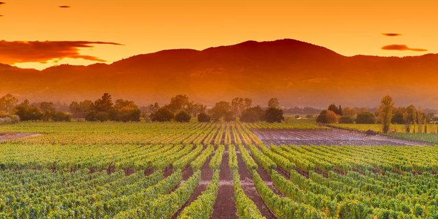 California's Most Beautiful Natural and Urban Destinations