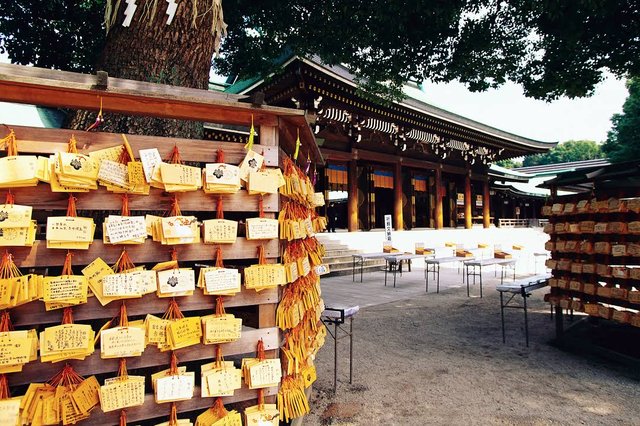 Shinjuku's Nightlife and Green Spaces