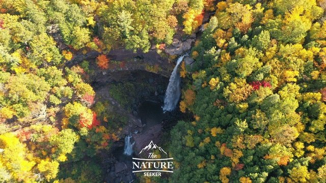 New York's Best Fall Foliage Destinations