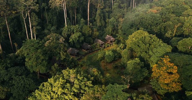 Borneo Nature Reserve and Wildlife Conservation Hub