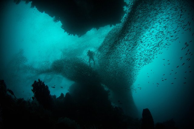 Raja Ampat Scuba Diving Adventures And Conservation
