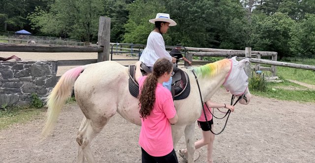 Equestrian Adventures in Blue Hills Reservation