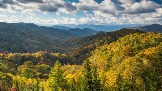 Scenic Appalachian Parkway Road Trip Itinerary