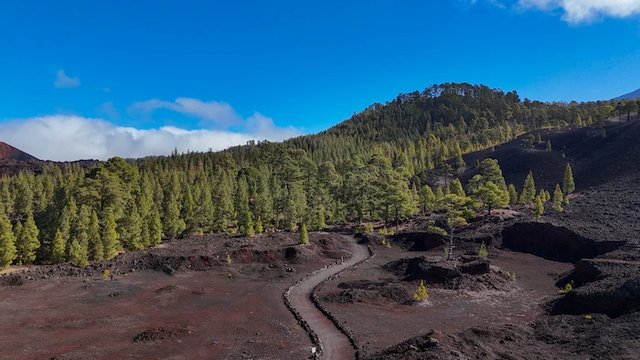 Tenerife Hiking Trails For All Levels