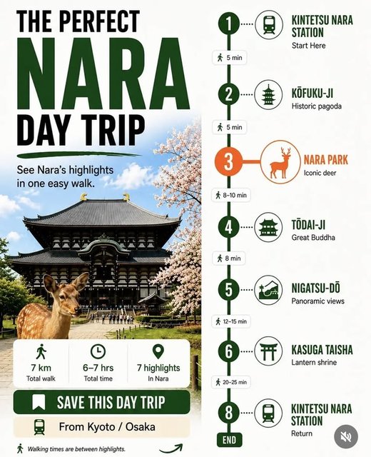 Day Trips to Nara and Tokyo Travel Ideas