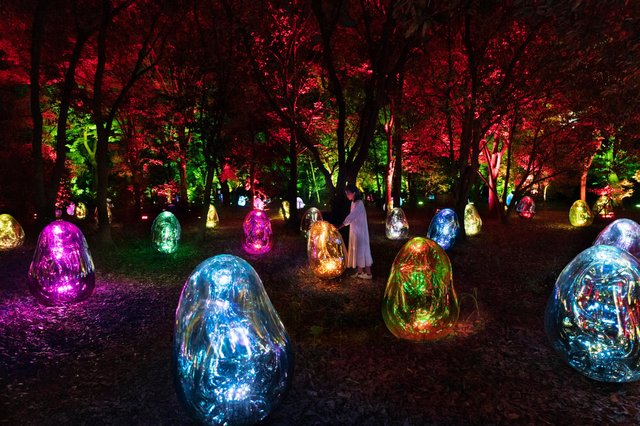 Osaka's Gardens Host Interactive Light Art Installations