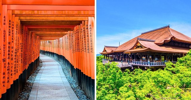 Kyoto Day Trip Itinerary Featuring Fushimi Inari and Gion